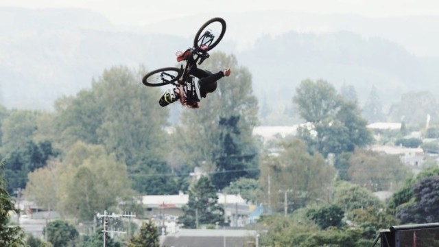 Bluegrass Welcomes Torquato Testa to the Team