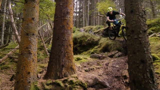 Mud // Roots // Rocks - Sam Stanfield