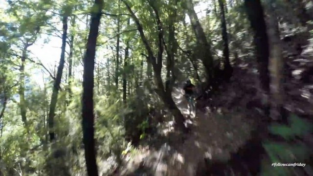Wairoa Gorge Bike Park in 4K