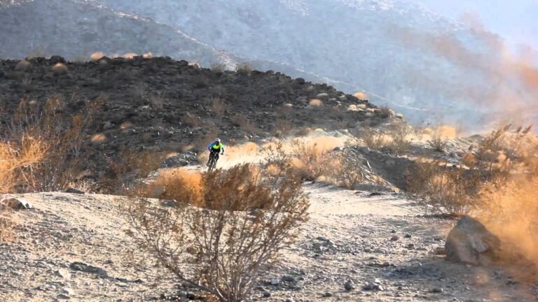 Bump 'N Grind Trail