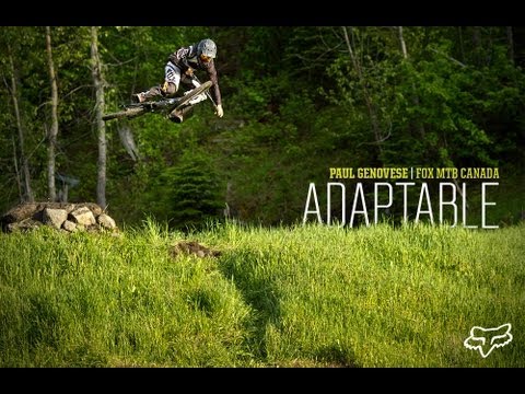 Paul Genovese - Adaptable