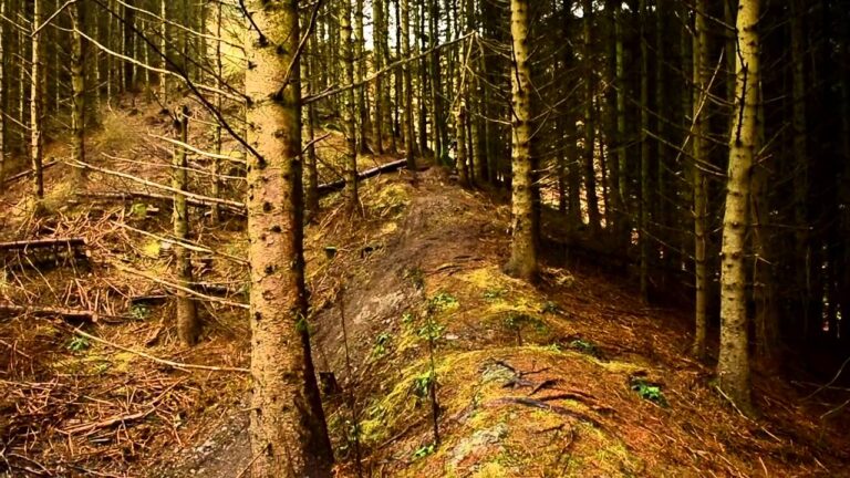 Once Upon A Trail - Adam Brayton