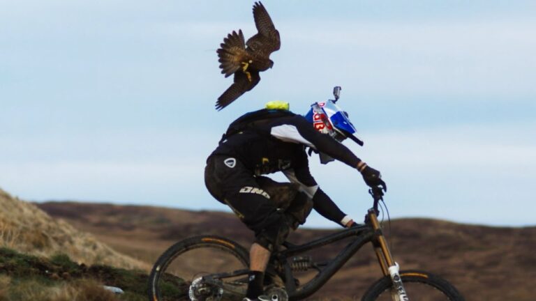 Gee Atherton Attacked By Bird Of Prey!