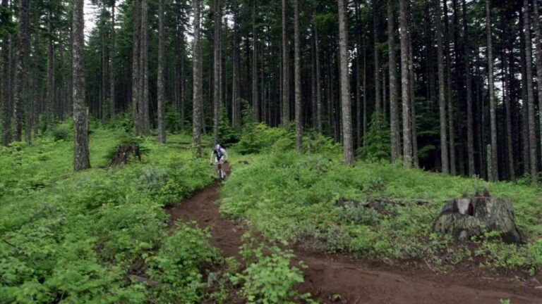 Giant 27.5 -- Ride Without Limits.