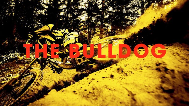 The Bulldog