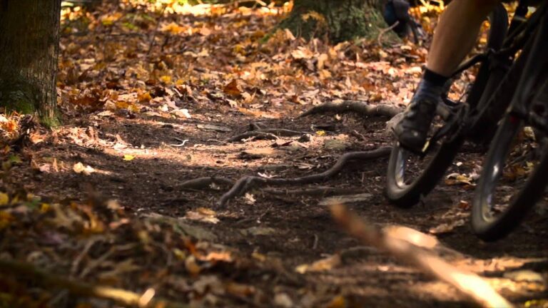 From Where We Stand Episode 2: Oneonta, NY