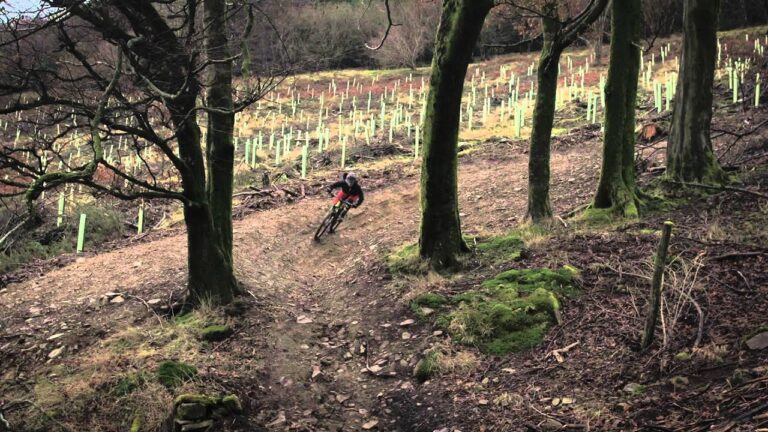 New Trail: Cwmcarn