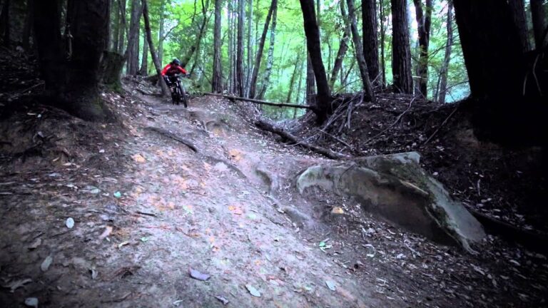 Aaron Bradford Trailfoxing Santa Cruz's Best