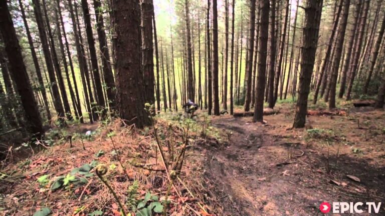 Is Craig Evans the Next Steve Peat? You Be the Judge | To the Point, Ep. 11 