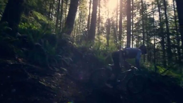 Make It Reign: Inspiration For The ride.
