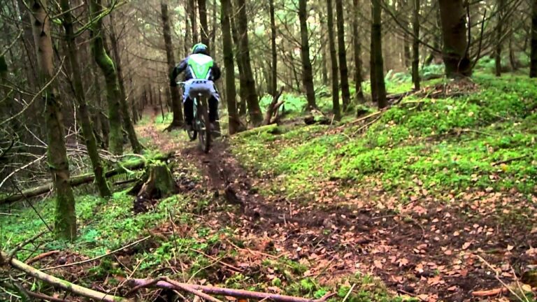 Ultimate Hucker Sender- Rankin, Brayton, Vink