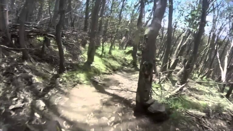 Buller VDHS track preview - Round 3