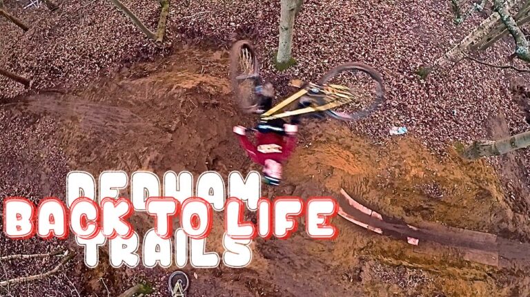Dedham Trails - BACK TO LIFE