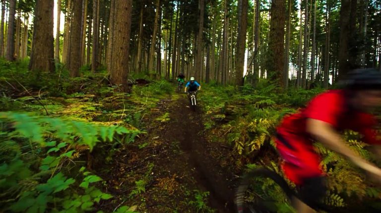 Knolly Bikes - Sunshine Coast