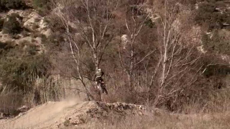 Damien Oton | EWS Dominator