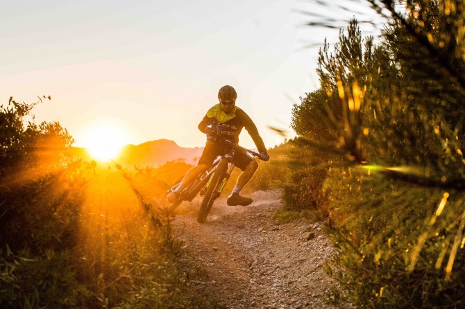 D - James Shirley Action