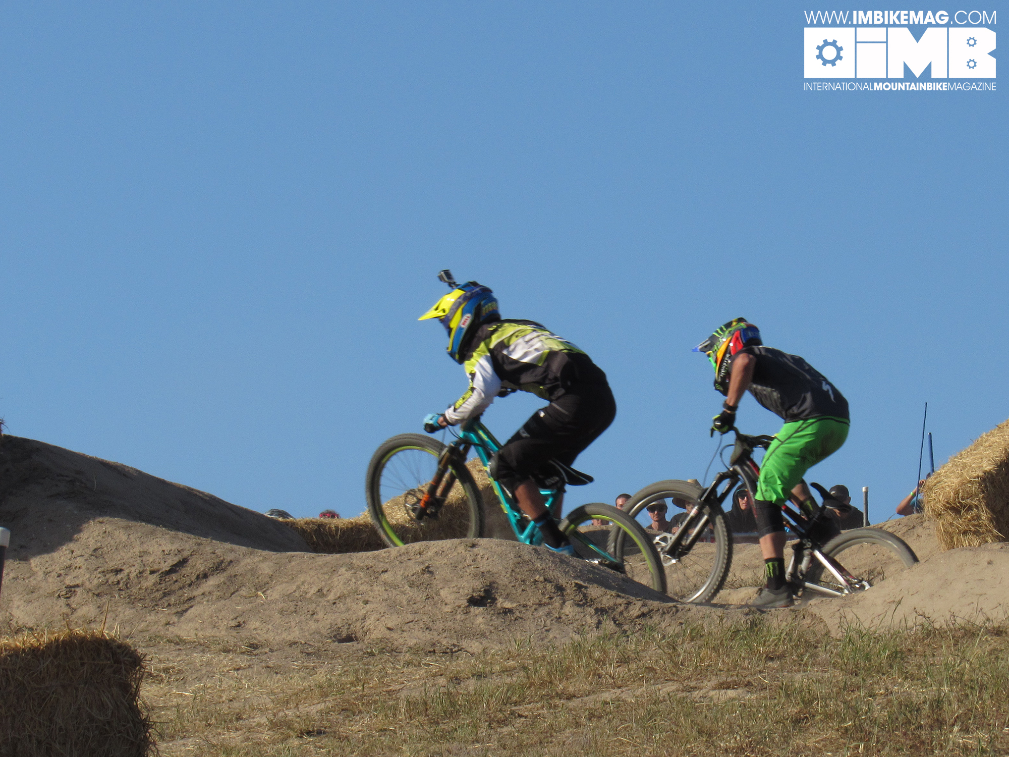 Sea Otter Day 3