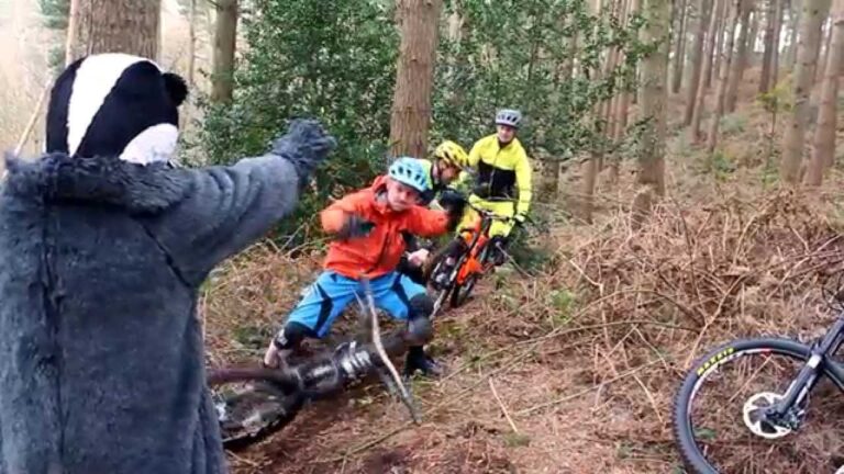 The Rise Of The Enduro Badger