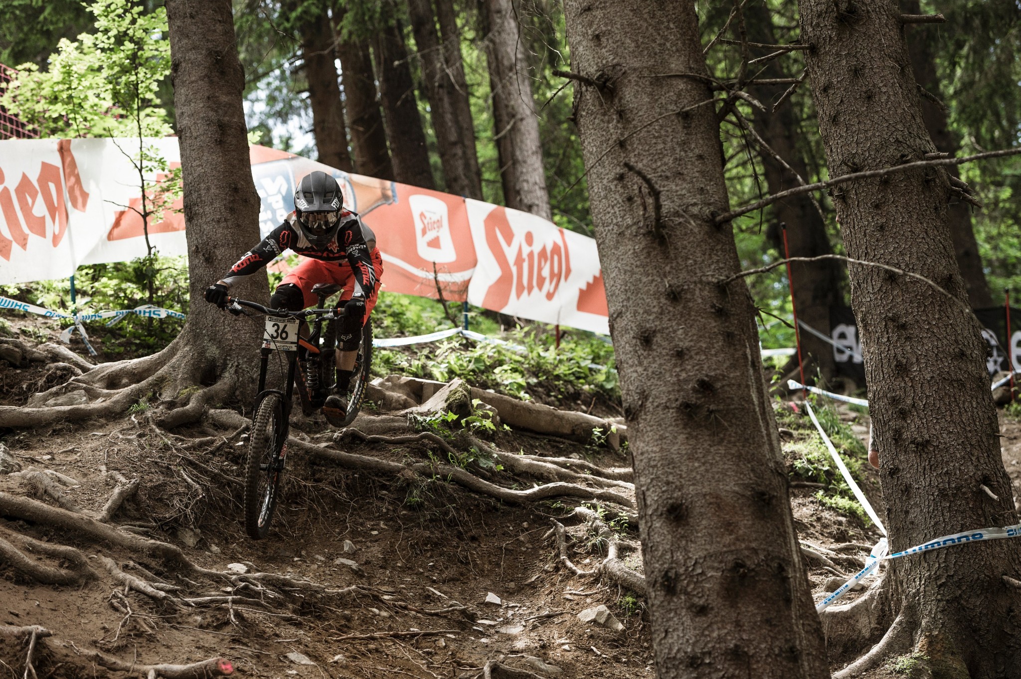 Kona Factory Team - Val Di Sole, Italy