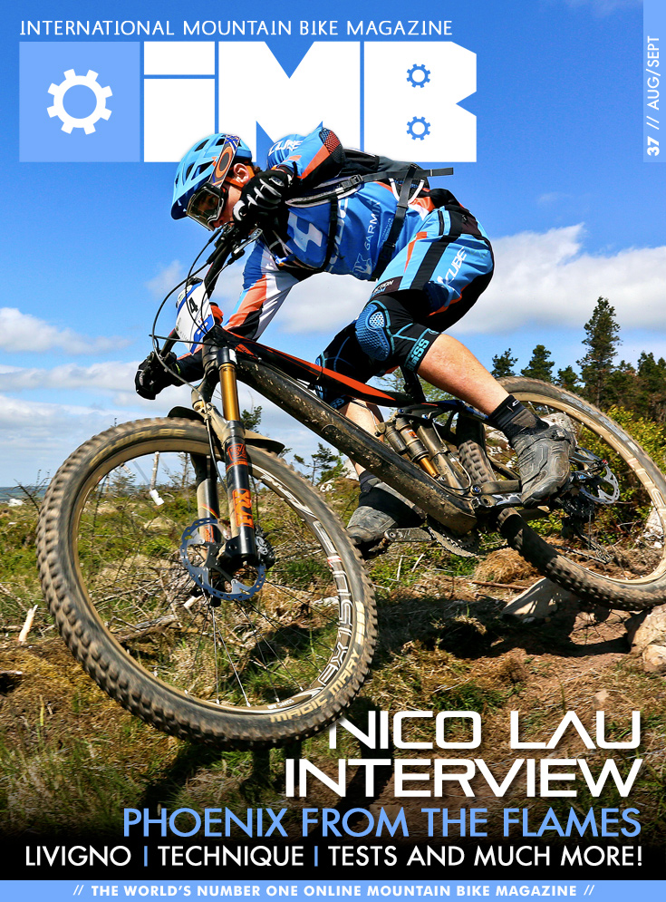IMB37_Cover