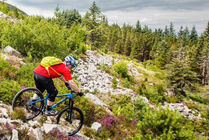 The BluePig in its natural environment!