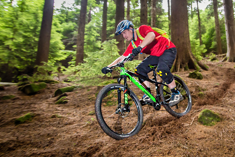 We think Bob would approve of this stallion!