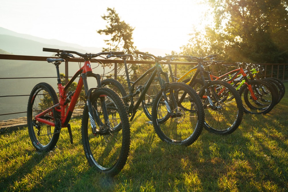 Lined up in the morning sunshine!