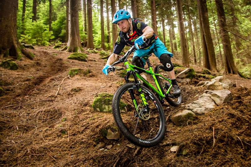 A rather pinned looking Piglet!