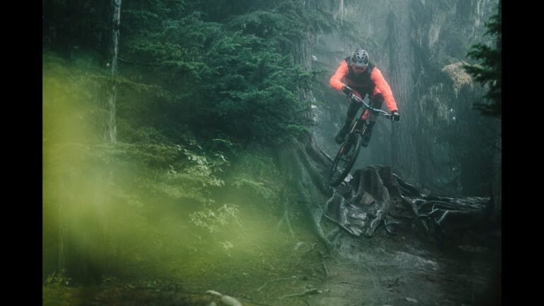 Bas Drops the Haven