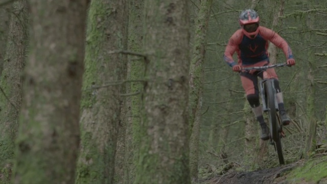 Raw Whyte
