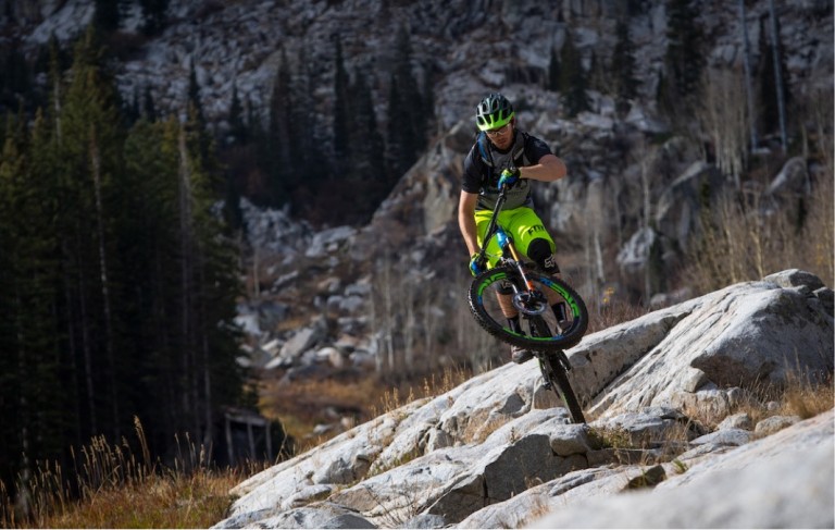 Logan Whitehead - That Loamy Feeling
