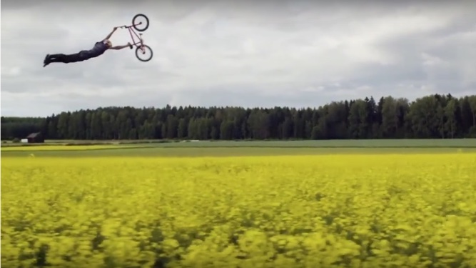 Field Trippin' - A Freestyle Daydream - Martin Söderström & Dawid Godziek