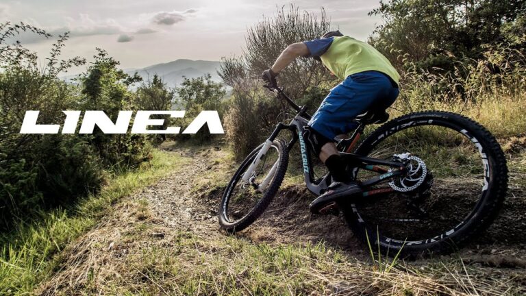 Formula | Introducing the all-new Linea wheels