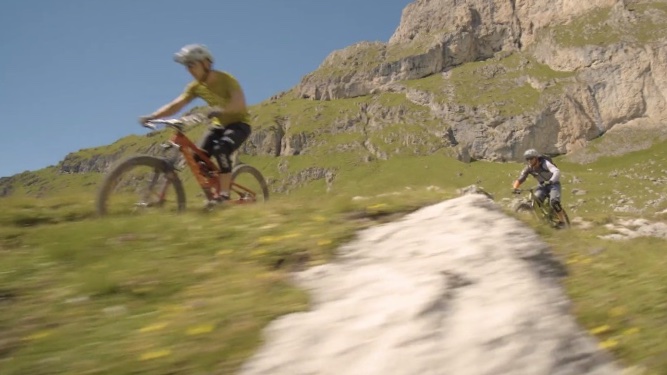 All Mountain Biking