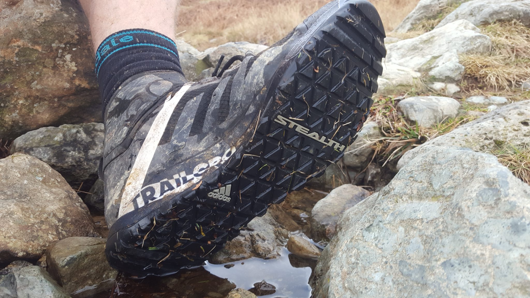 adidas terrex trail cross review