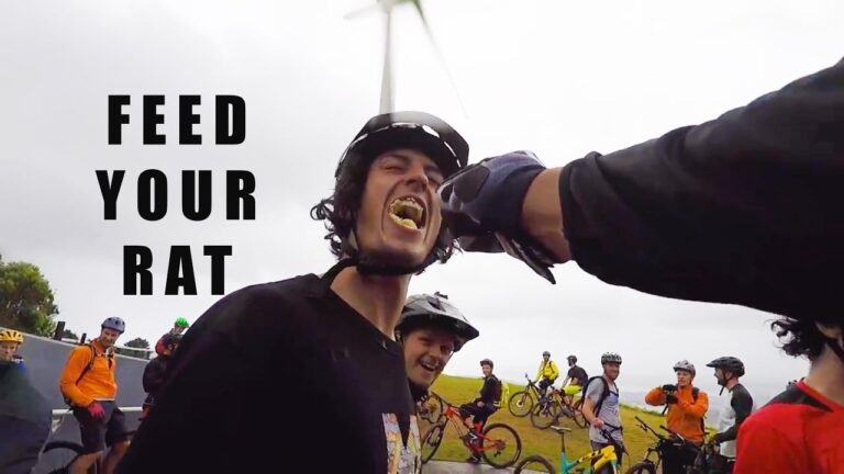 Ratboy Ate All The Cheese - NZ Roadtrip Day 1