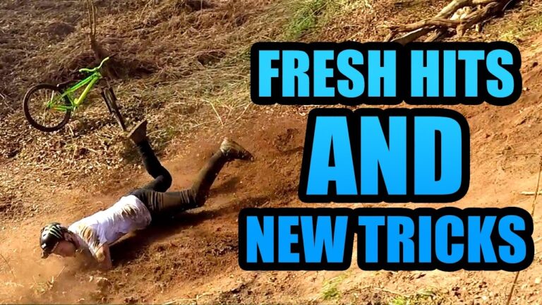 Fresh Hits And New Tricks
