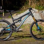 Pivot Cycles Firebird 2017