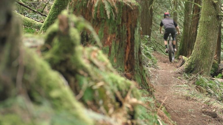 Vedder RAW - John Lefrancois