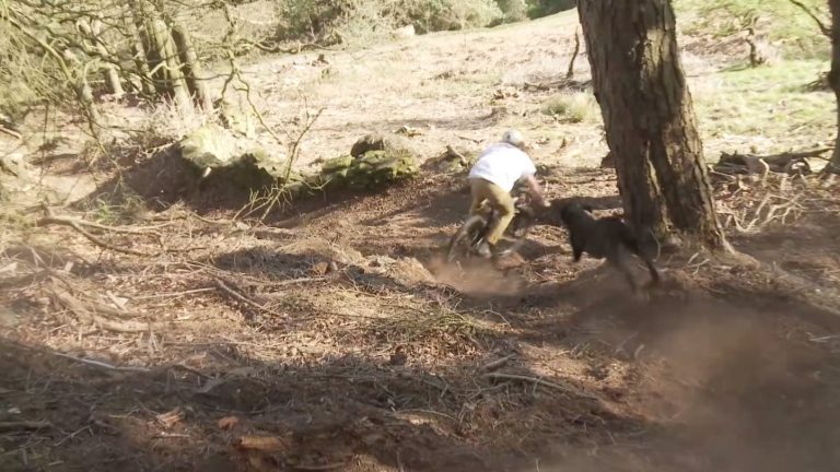 Home To Roost - Episode 12