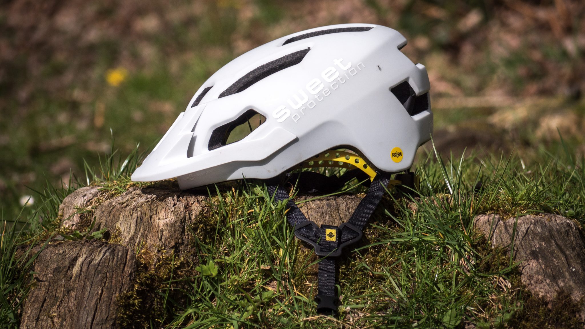 Dissenter Mips Helmet