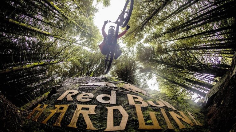 The Winning Run POV - Red Bull Hardline 2017 - Craig Evans