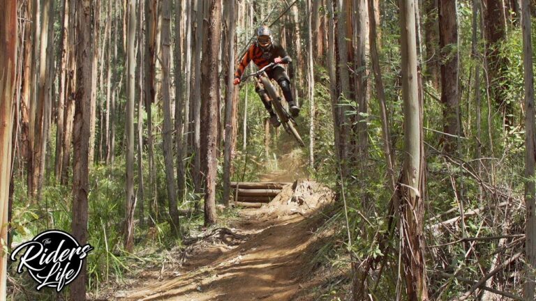Narbethong Downhill Track