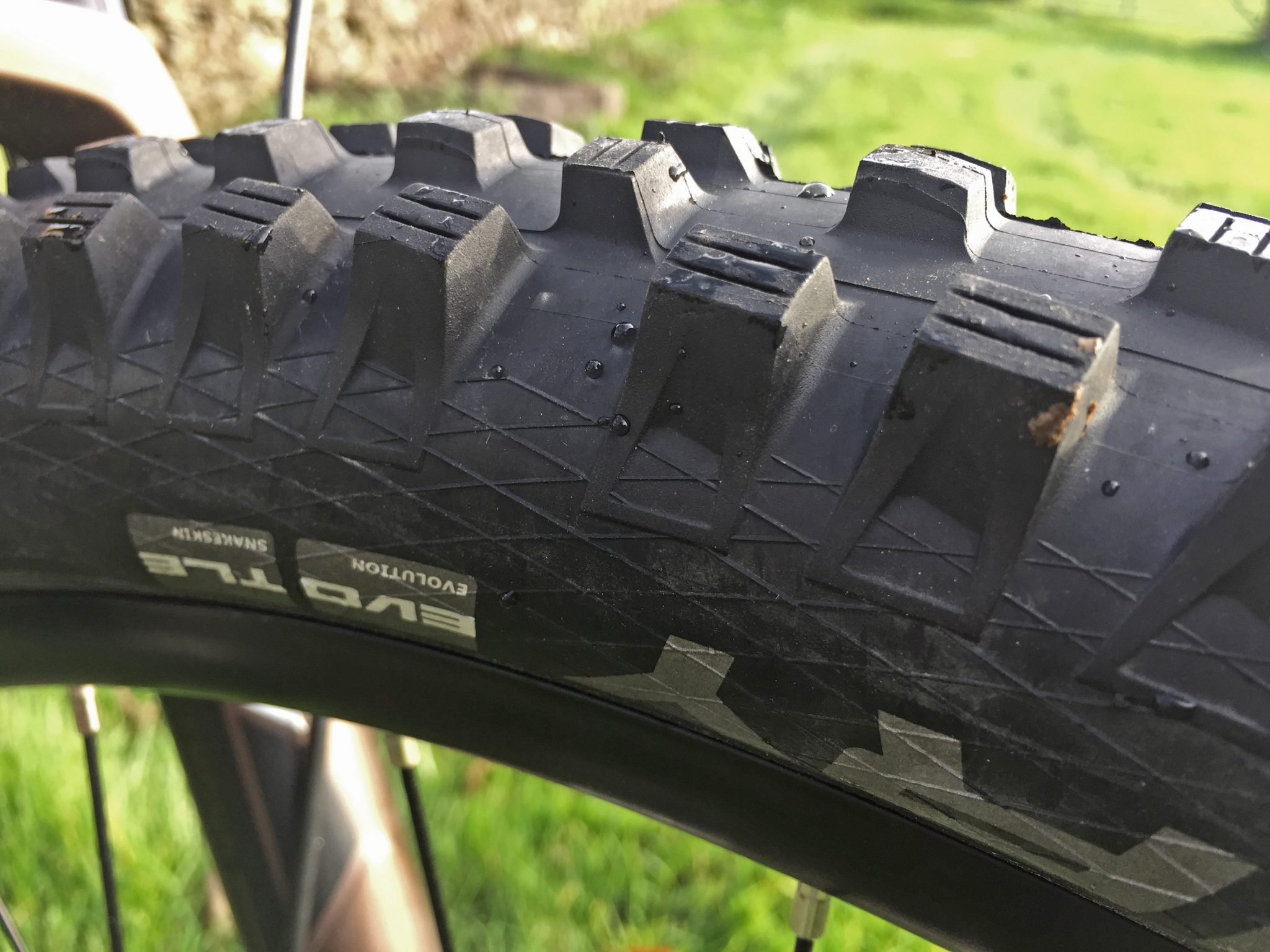 schwalbe tyres magic mary