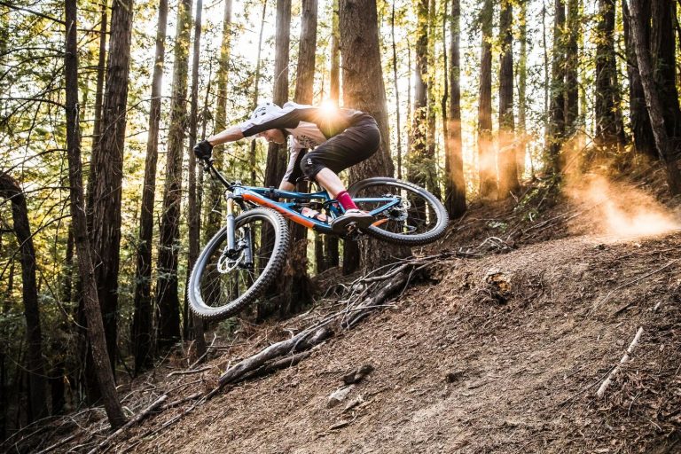 Ibis Cycles: Ripmo 29er Prototyoe