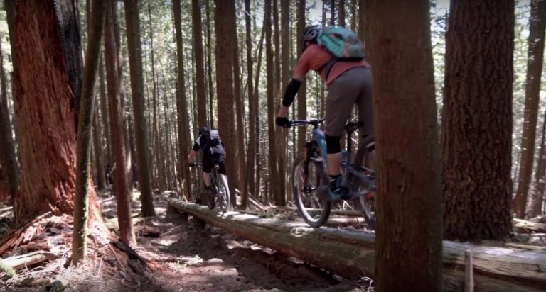 Can I Find my Freeride Flow at the Woodlot?