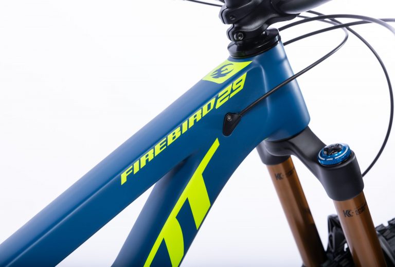 The New Pivot Firebird 29: EWS Race Ready, Bike Park Capable… Fears No Climb