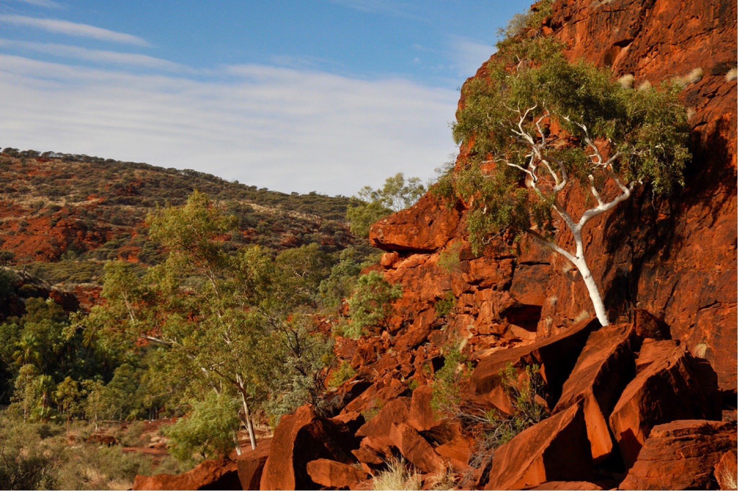 Mountain Biking Australia: Following the Finke River
