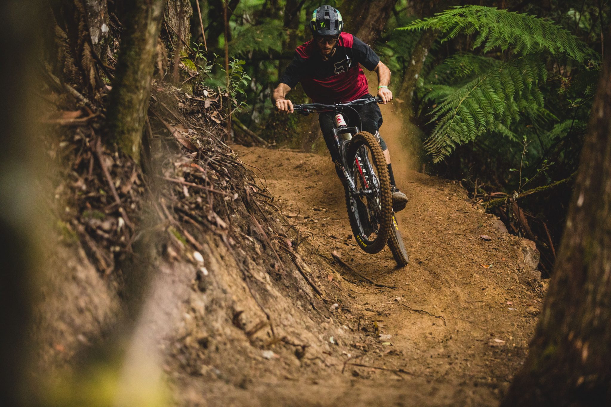The All-New Carbon Process 29 Is Here!
