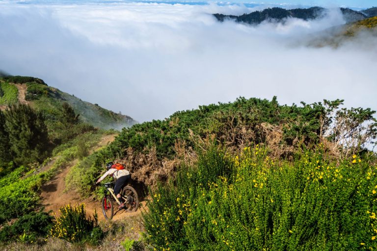 Trans Madeira 2019
